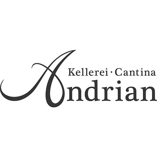 Alto Adige Chardonnay DOC "Somereto" 2025 - Andriano - Image 2