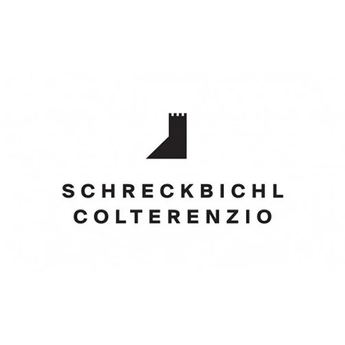 Alto Adige Pinot Grigio DOC 2024 - Colterenzio (tappo a vite) - Image 2