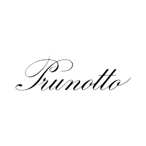 Barbera d'Asti DOCG “Fiulot” 2024 - Prunotto - Image 2