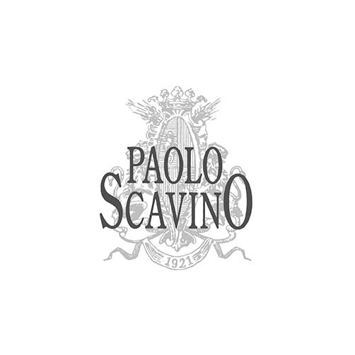 Barolo DOCG 2021 - Paolo Scavino - Image 2