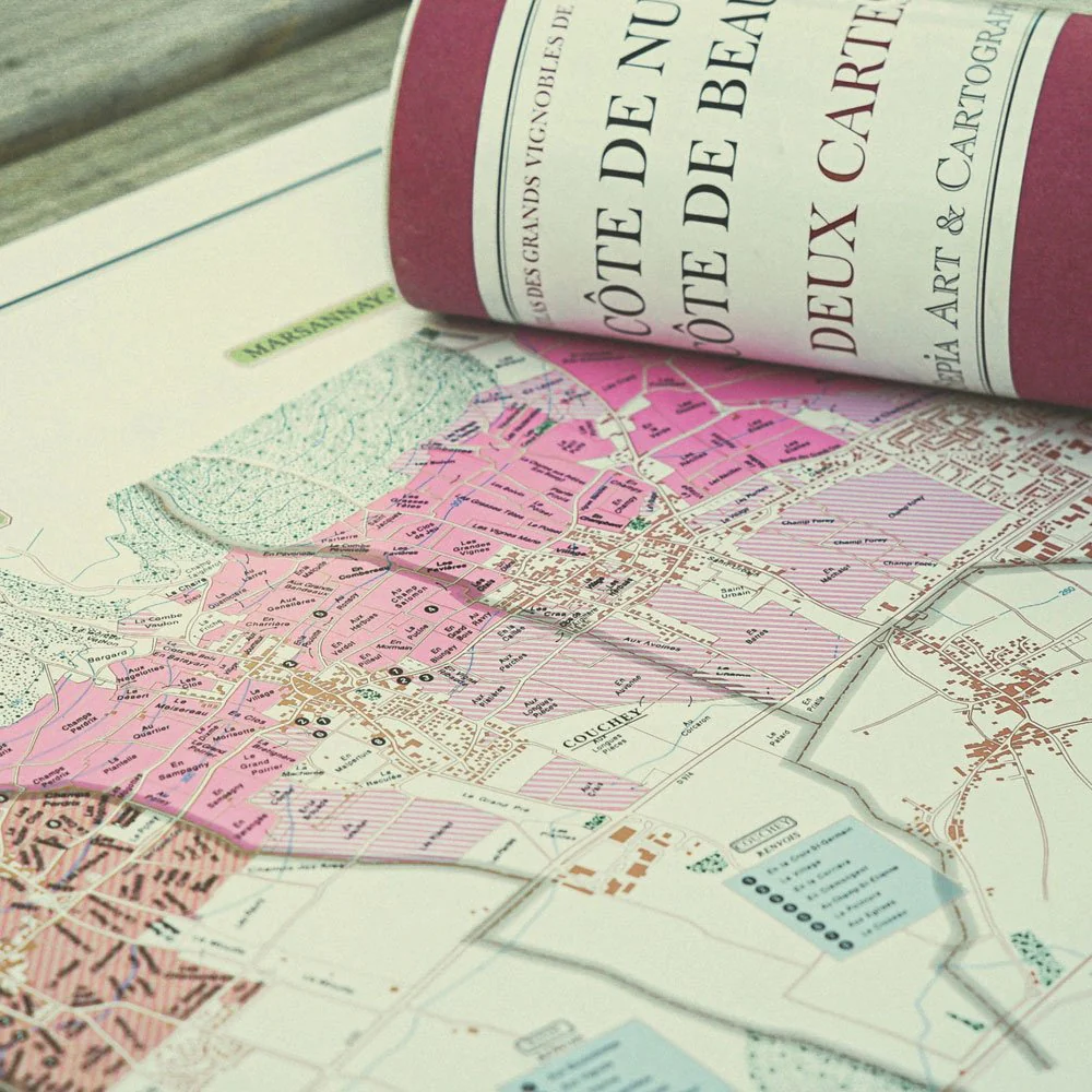 Bourgogne Blanc "Cuvée Saint Vincent" 2023 + Bourgogne Pinot Noir Cuvée Saint Vincent 2023 - Vincent Girardin + 2 Mappe Vinicole - Image 3