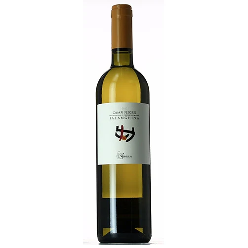 Campi Flegrei Falanghina DOC 2024 - La Sibilla