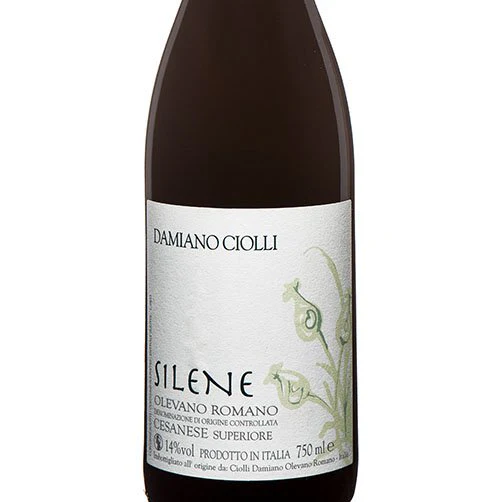 Cesanese di Olevano Romano DOC "Silene" 2024 - Damiano Ciolli - Image 2