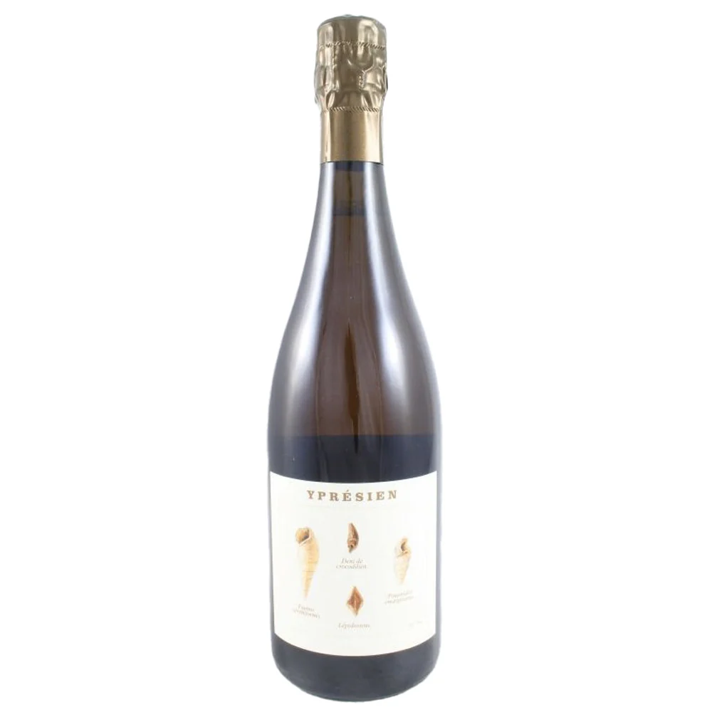 Champagne Blanc de Noirs Extra Brut “Yprésien” - Legrand-Latour