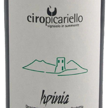 Irpinia Aglianico DOP 2021 - Ciro Picariello - Image 2
