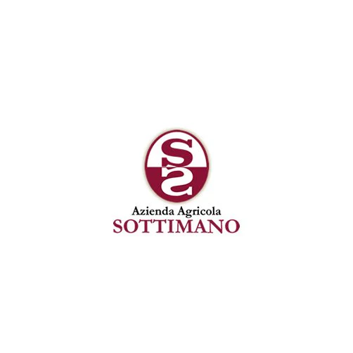 Langhe Nebbiolo DOC 2024 - Sottimano - Image 2