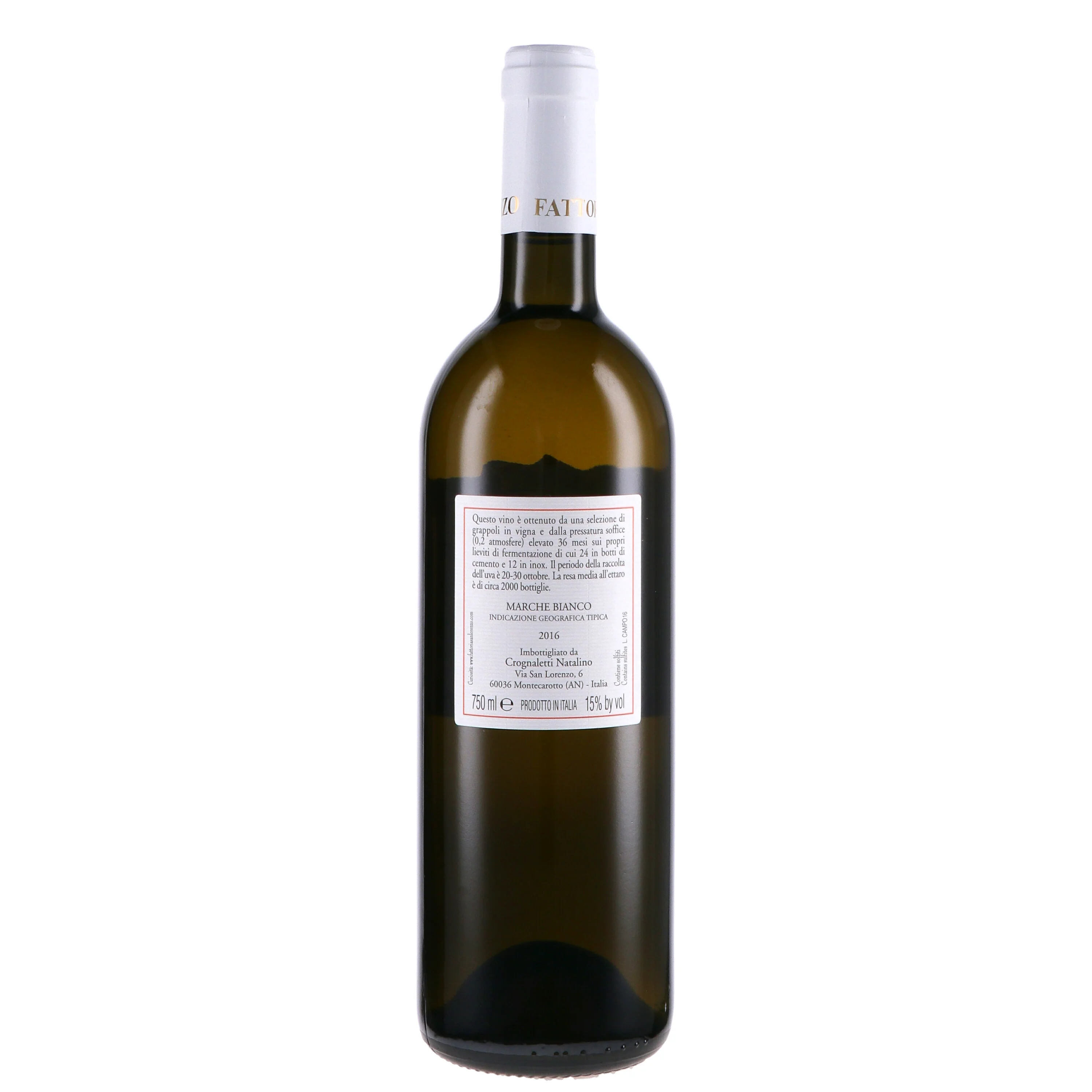 Marche Bianco IGT "Campo delle Oche" 2022 - Fattoria San Lorenzo - Image 2