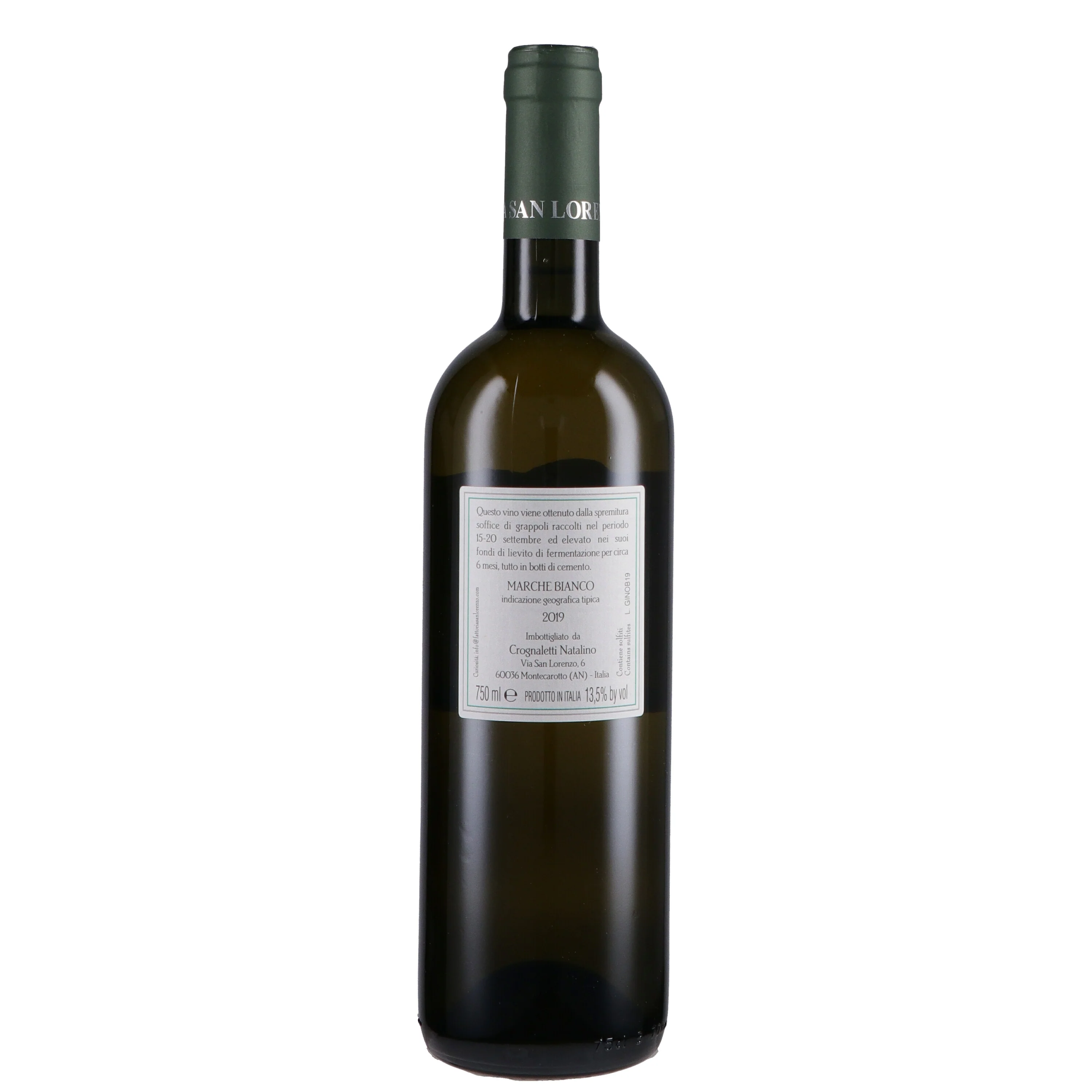 Marche Bianco IGT "di Gino" 2024 - Fattoria San Lorenzo - Image 3