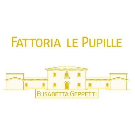 Morellino di Scansano Riserva DOCG 2020 - Fattoria Le Pupille - Image 3
