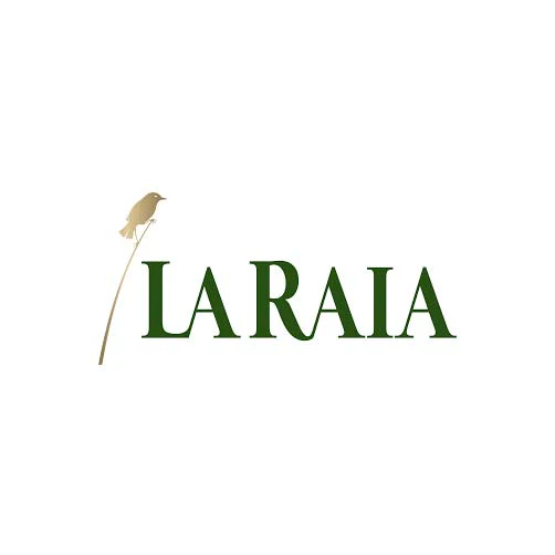 Piemonte Barbera DOC 2023 - La Raia - Image 2