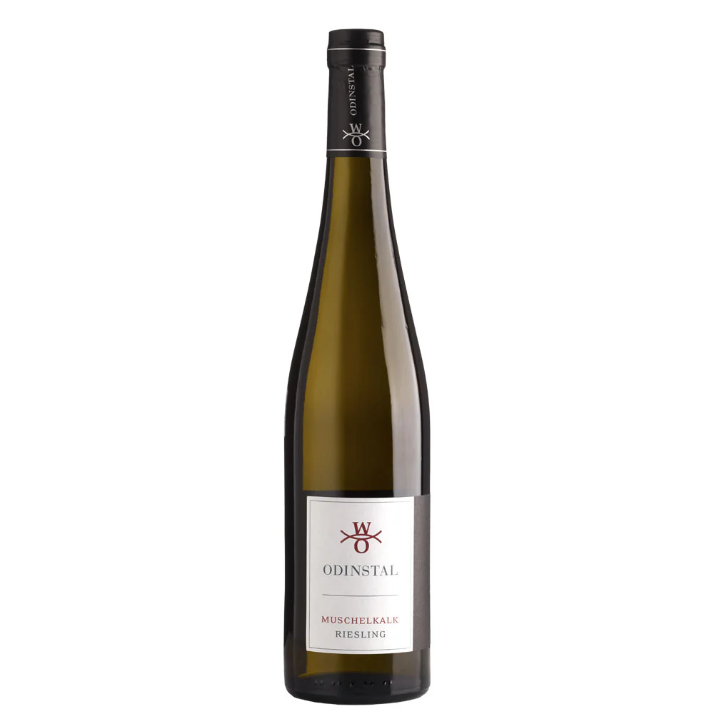 Riesling "Muschelkalk" 2021 - Weingut Odinstal