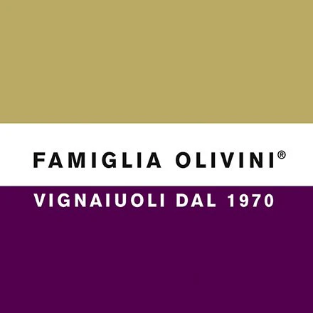 Riviera del Garda Classico DOC Spumante Brut Rosé 2022 - Famiglia Olivini - Image 2