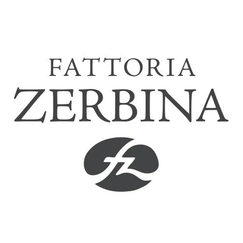 Romagna DOC Sangiovese Superiore "Ceregio" 2023 - Fattoria Zerbina - Image 2