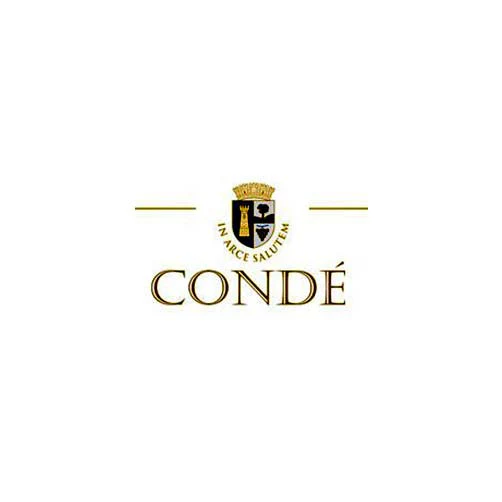 Romagna Sangiovese Superiore DOC 2020 - Condé - Image 2