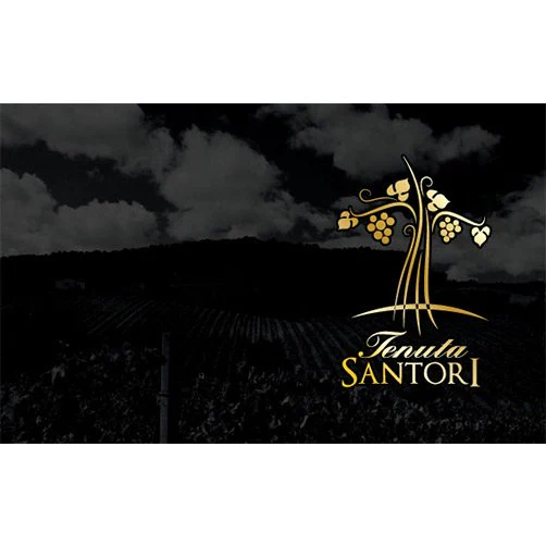 Rosso Piceno Superiore DOC "Zizarè" 2012 - Tenuta Santori - Image 2