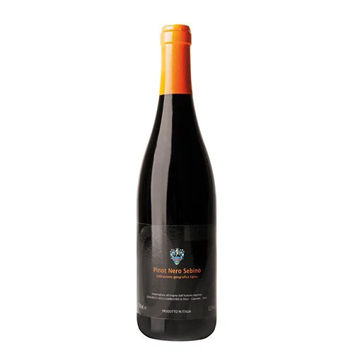 Sebino Pinot Nero IGT 2022 - Ricci Curbastro