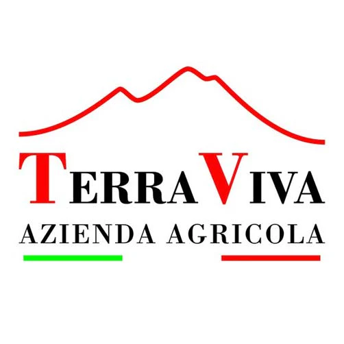 Trebbiano d’Abruzzo DOC 2023 - Terraviva - Image 2