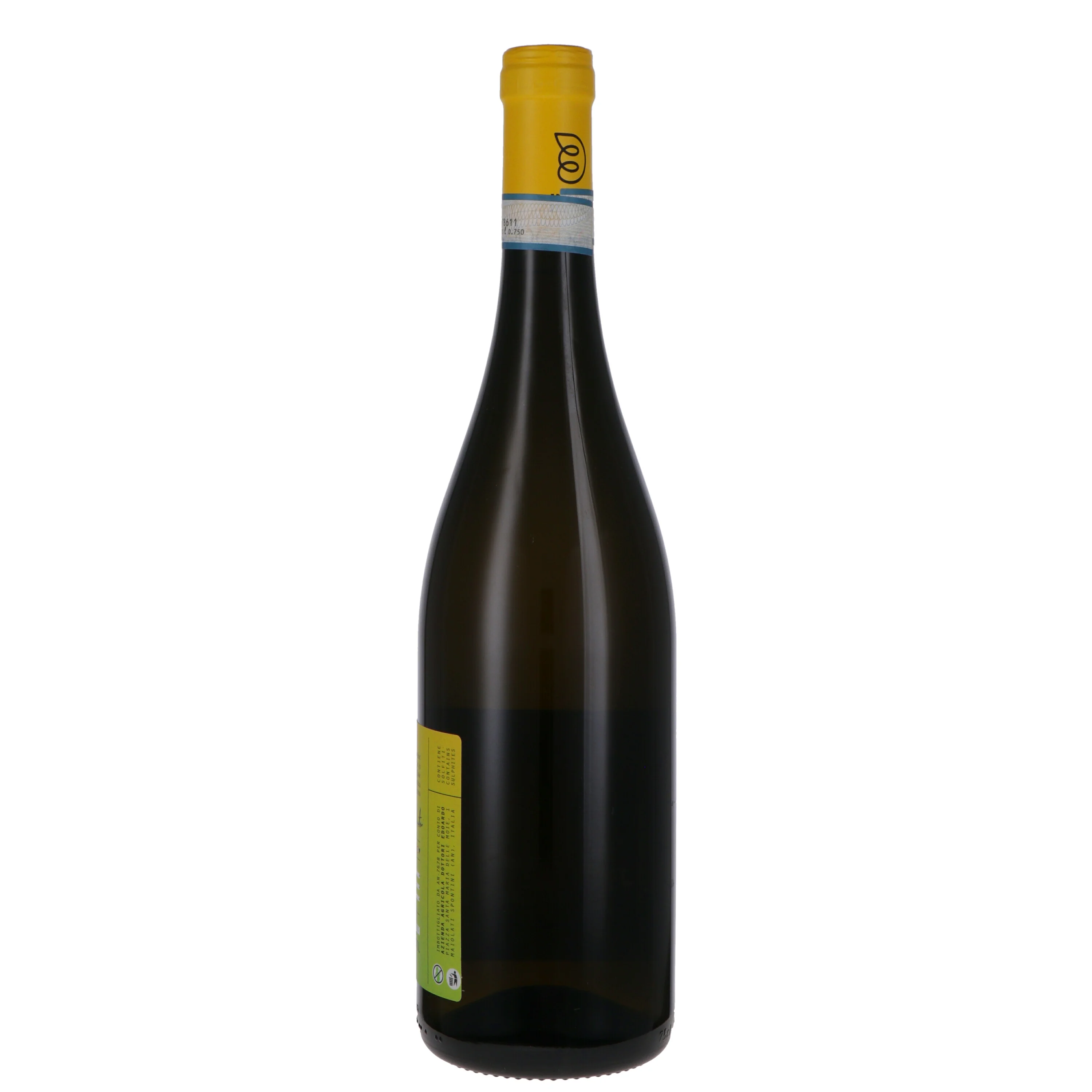 Verdicchio dei Castelli di Jesi DOC "Colle Bianco" 2024 - Azienda Agricola Edoardo Dottori - Image 2
